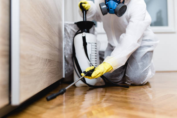 Best Rat Extermination Near Me  in Villa Ridge, MO