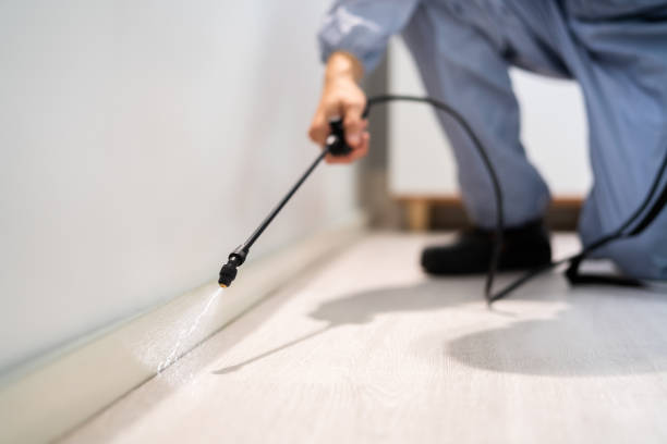 Best Pest Prevention Services  in Villa Ridge, MO